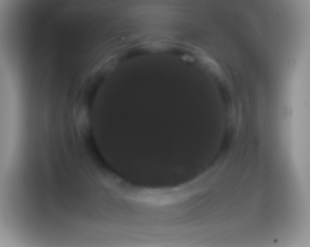 X0000113850029200910011010