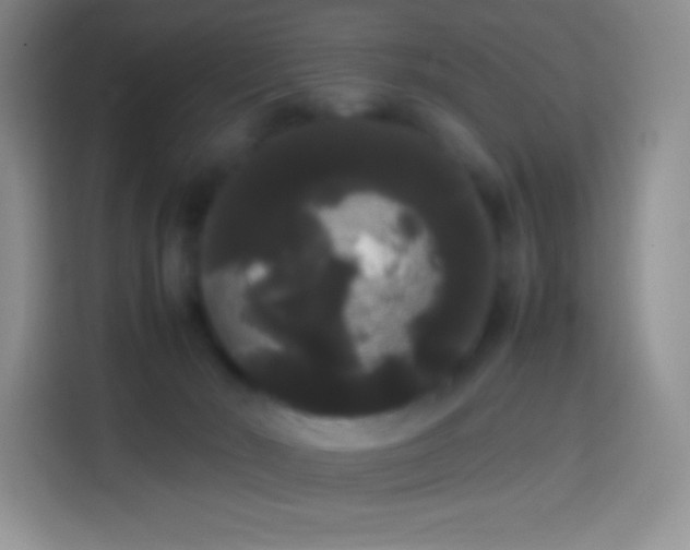 X0000113850030200910011010