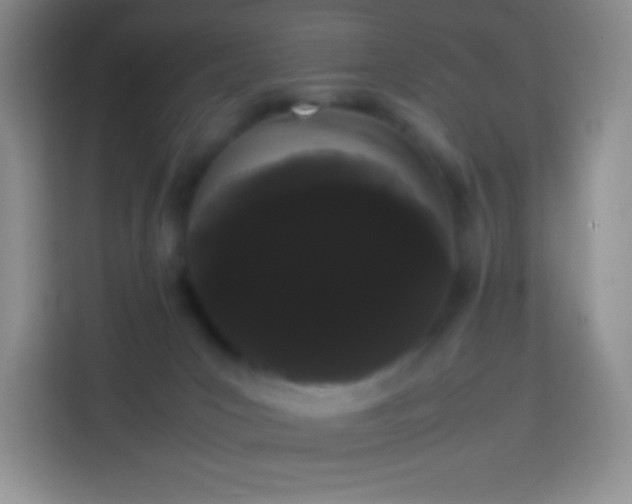 X0000113850031200910011010