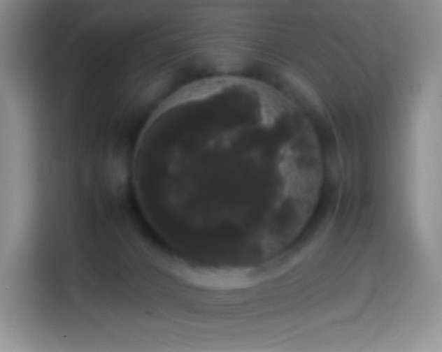 X0000113850032200910011010