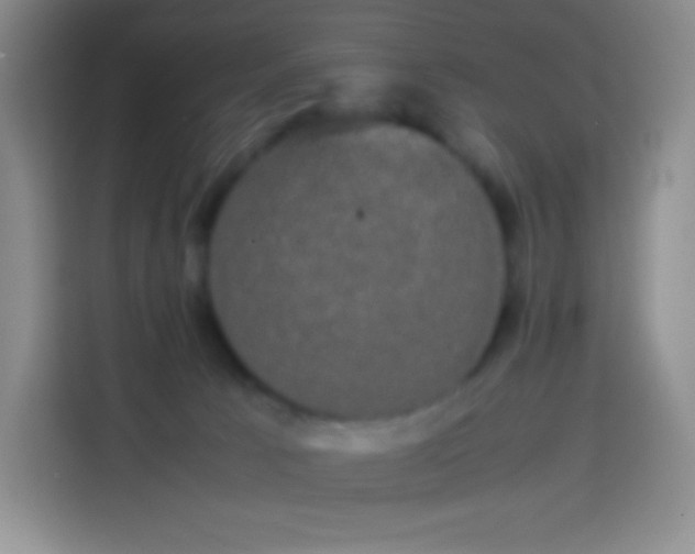 X0000113850033200910011010