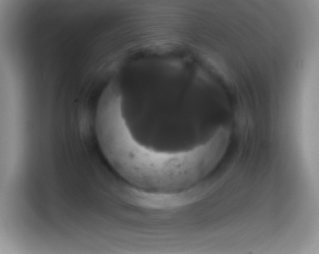 X0000113850034200910011010