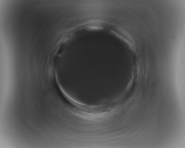 X0000113850035200910011009