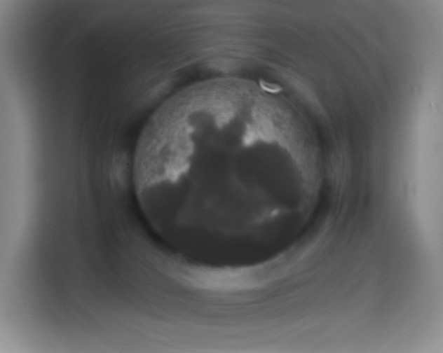 X0000113850036200910011009