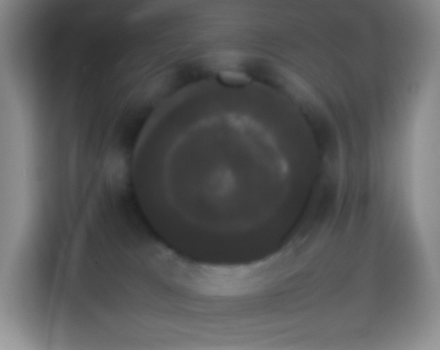 X0000113850037200910011009