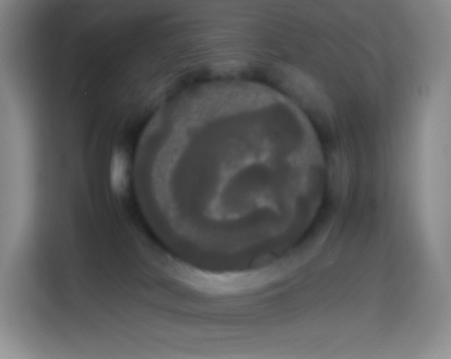 X0000113850038200910011009