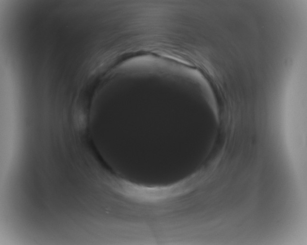 X0000113850039200910011009