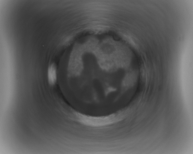 X0000113850042200910011009