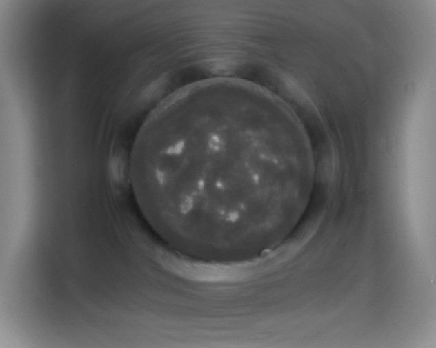 X0000113850044200910011009