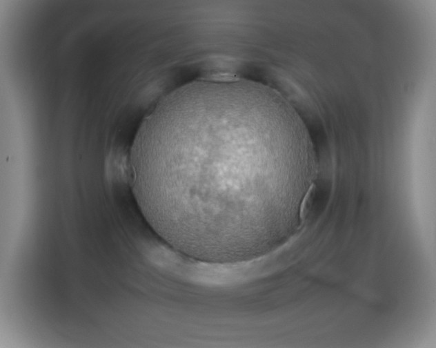 X0000113850045200910011009