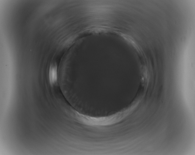 X0000113850046200910011009