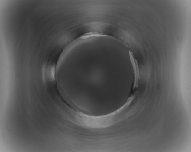 X0000113850047200910011009