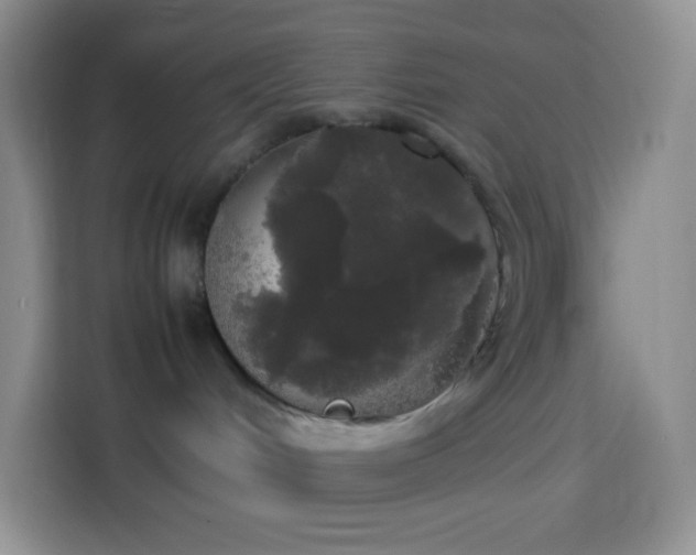 X0000113850048200910011009