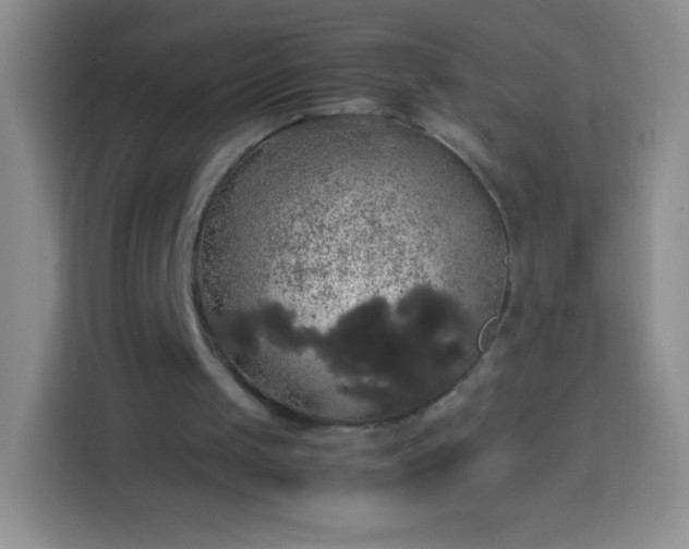 X0000113850049200910011009