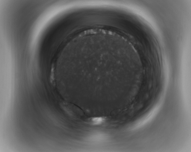 X0000113850050200910011009