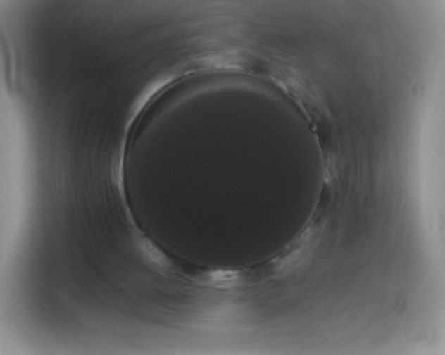 X0000113850052200910011009