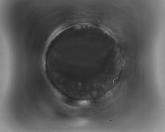 X0000113850053200910011009