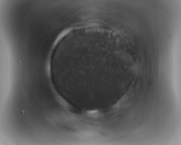 X0000113850054200910011009