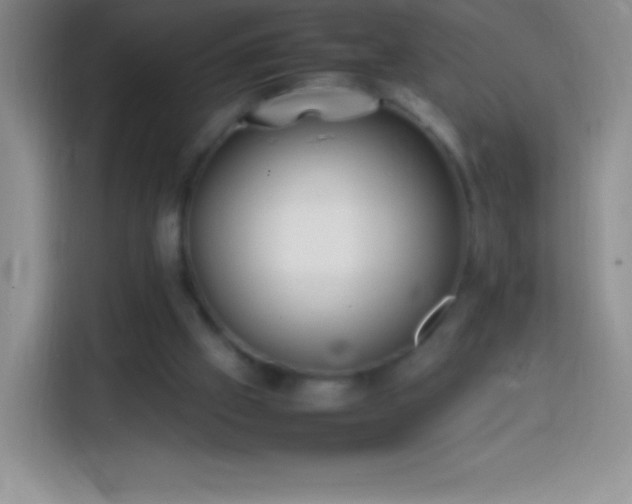 X0000113850057200910011009