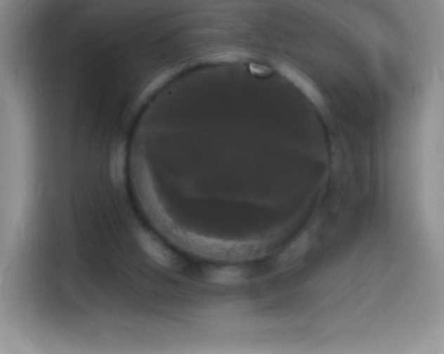 X0000113850058200910011009