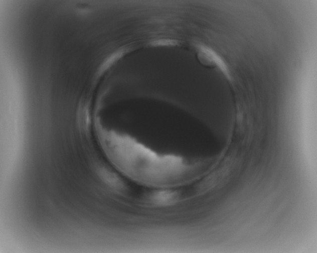 X0000113850059200910011009