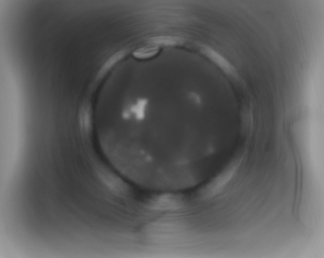 X0000113850064200910011009