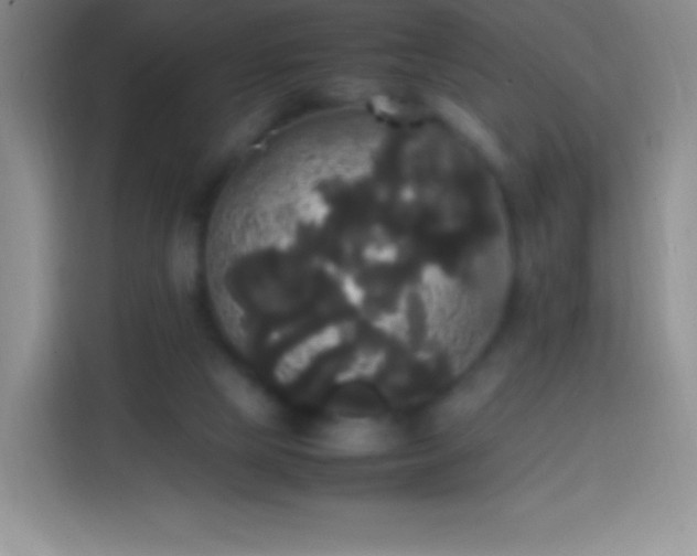 X0000113850065200910011009