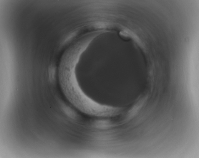 X0000113850066200910011009