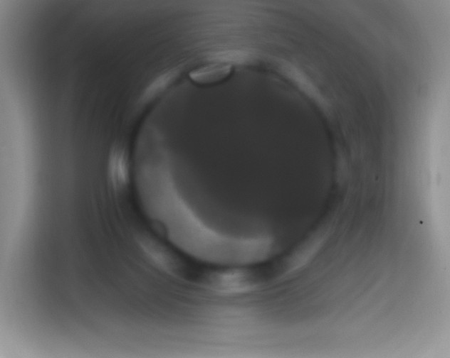 X0000113850068200910011009