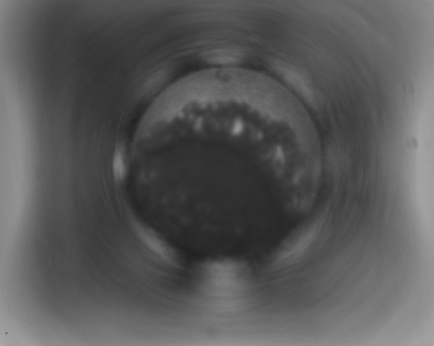 X0000113850069200910011009