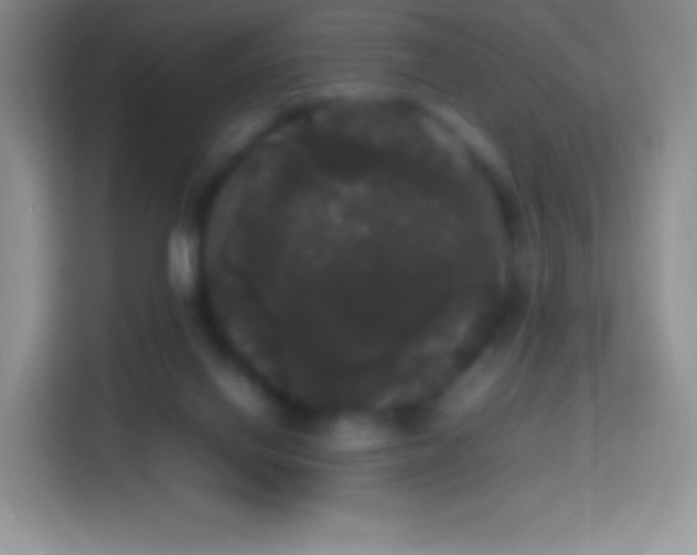 X0000113850070200910011009