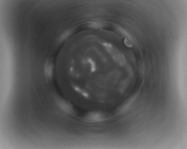 X0000113850071200910011009