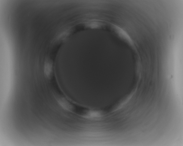 X0000113850073200910011009