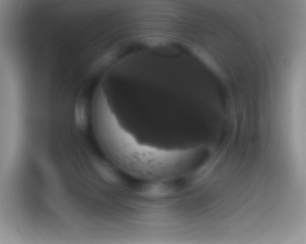 X0000113850074200910011009