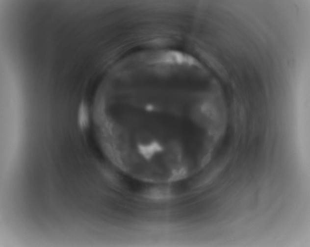 X0000113850075200910011009