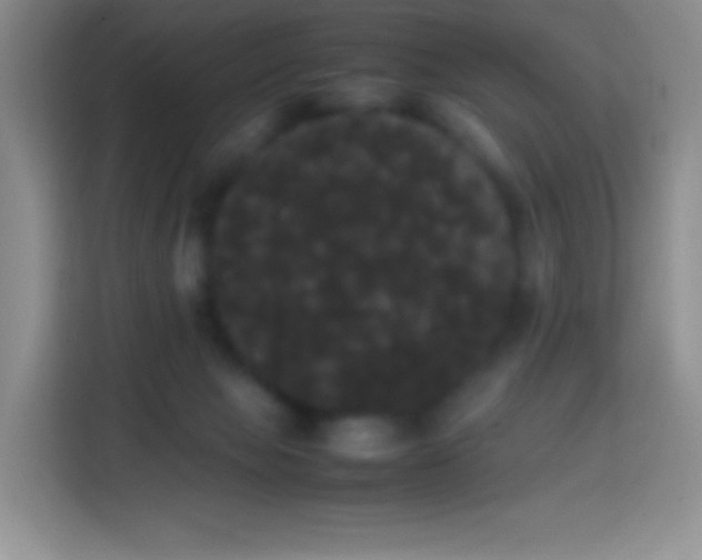 X0000113850077200910011009