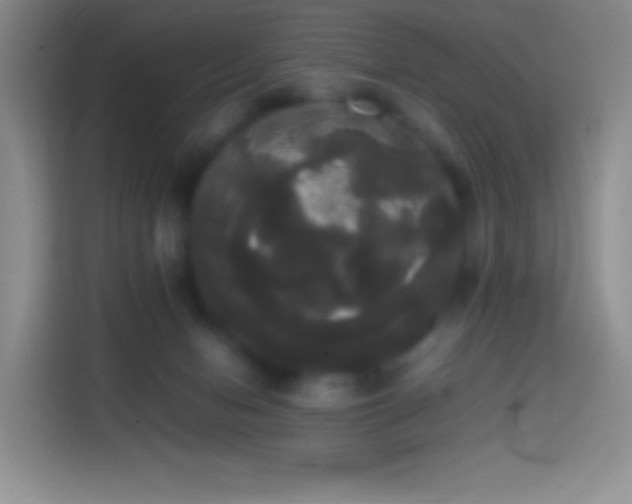 X0000113850078200910011009