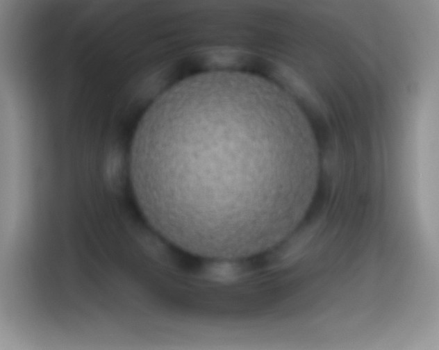 X0000113850079200910011009