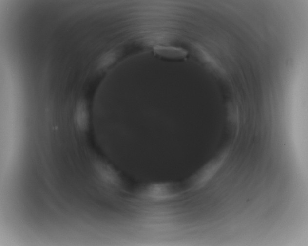 X0000113850080200910011009