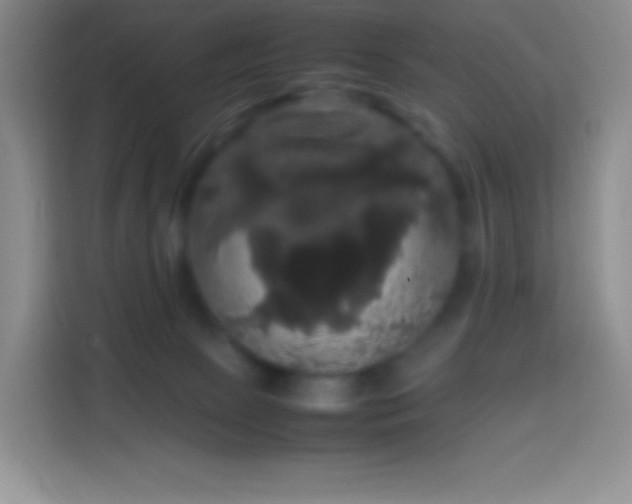 X0000113850081200910011009