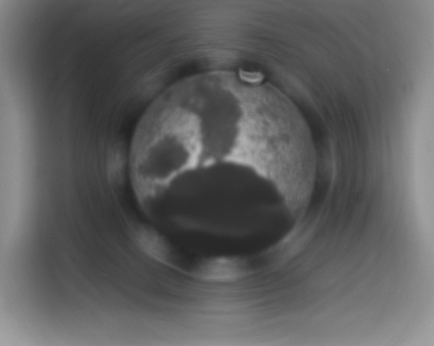 X0000113850082200910011009