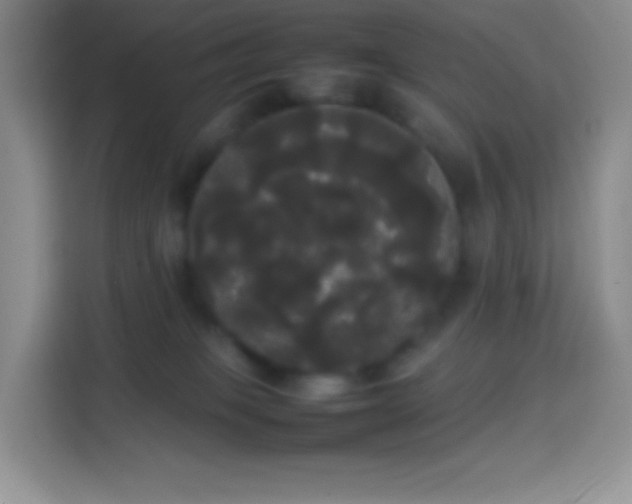 X0000113850085200910011009