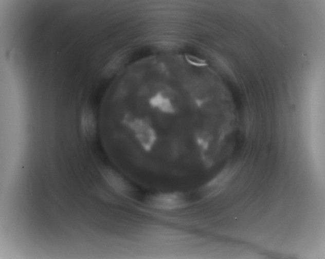 X0000113850086200910011009