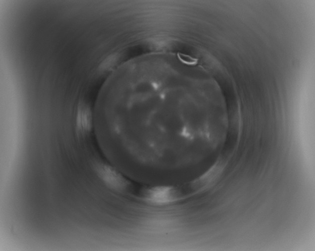 X0000113850090200910011009