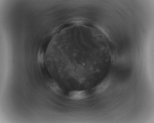 X0000113850093200910011009