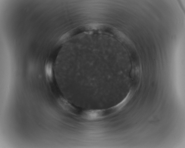 X0000113850094200910011009