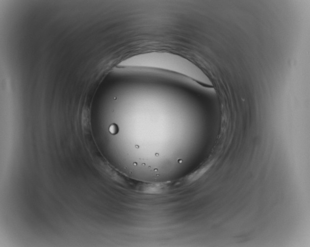 X0000113850096200910011009