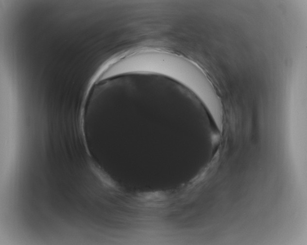 X0000113850100200910011009