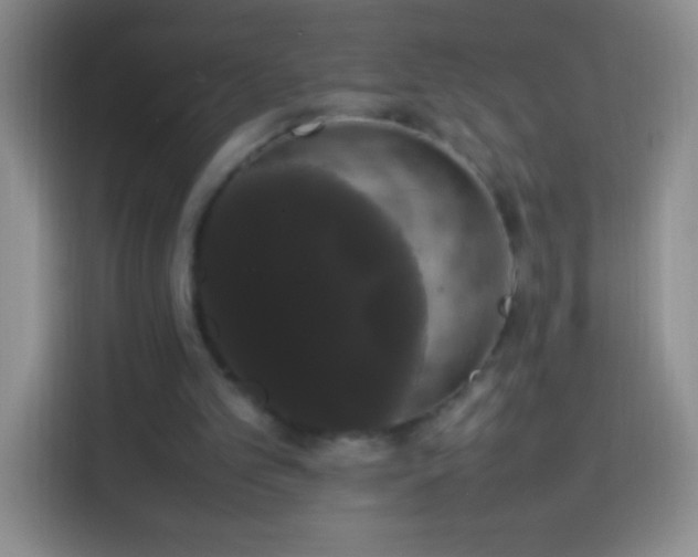 X0000113850101200910011009