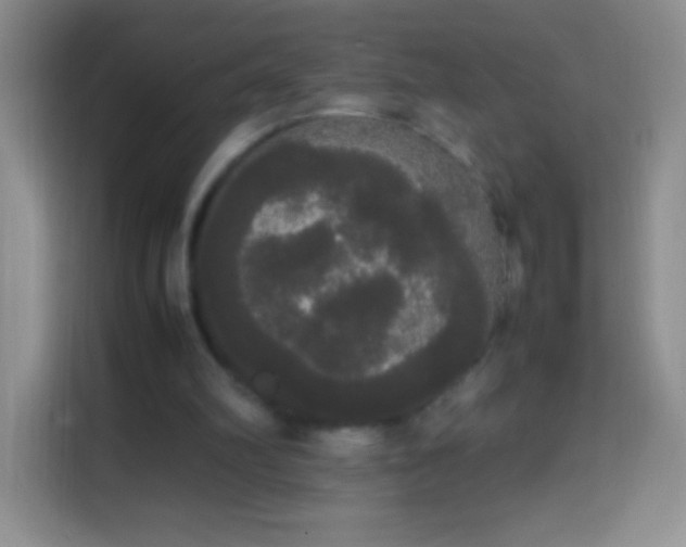 X0000113850102200910011009